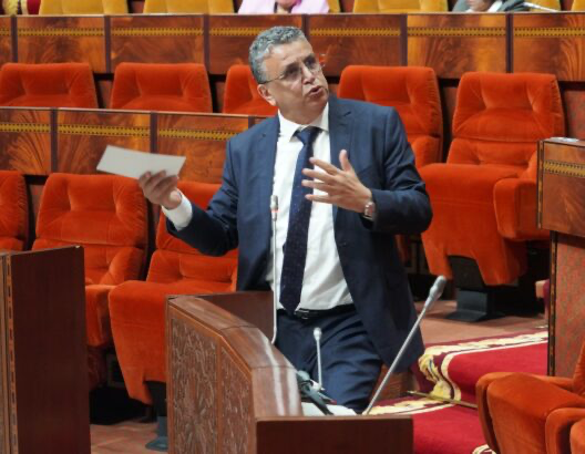 وهبي يستعجل تقنين الذكاء الاصطناعي لمواجهة تأثيره على الانتخابات المقبلة