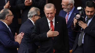 أردوغان يدعم تركيا من الملعب أمام هولندا