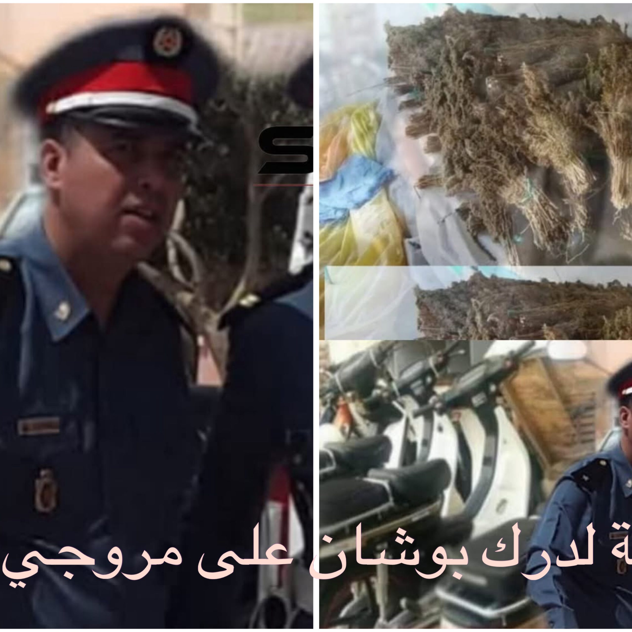 حملة شرسة لدرك بوشان بإقليم الرحامنة لمكافحة ترويج المخدرات بكل انواعها
