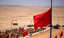 ذكرى تحرير  وادي الذهب تاريخ و استمرارية التلاحم الوطني بين العرش و الشعب
